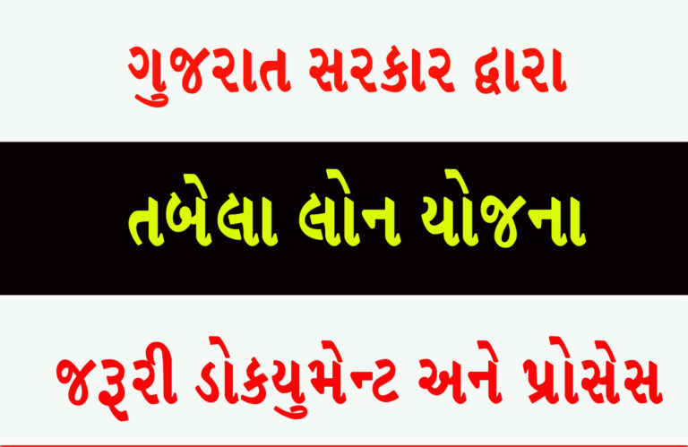 તબેલા લોન યોજના